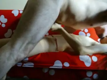 Bokep Indo Live ABG Bispak Hotel Skandal Panas